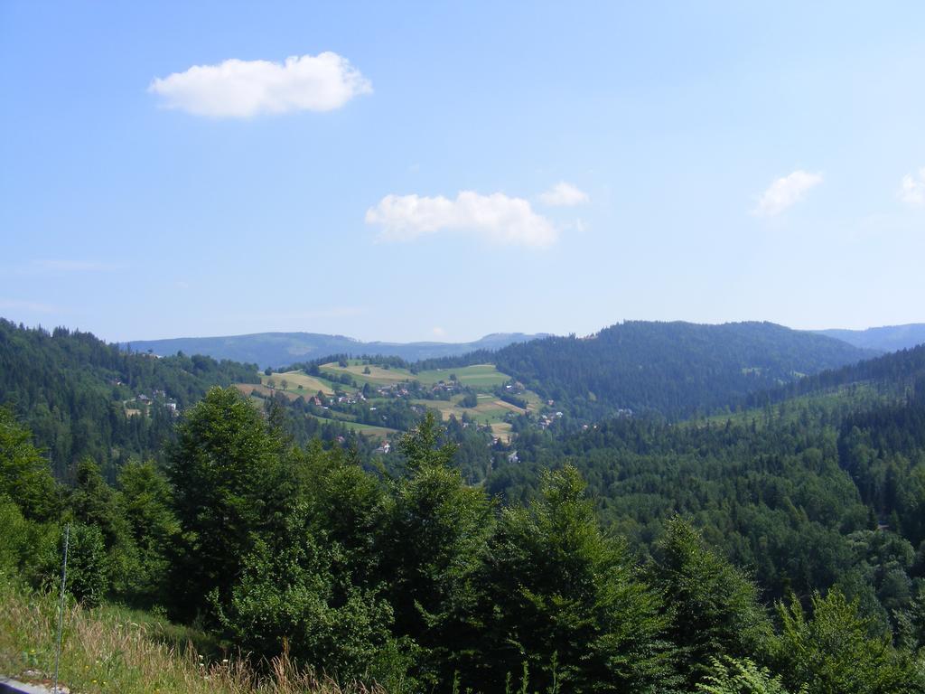 Rezydencja Prezydenta Rp Zamek W Wisle Wisła Extérieur photo